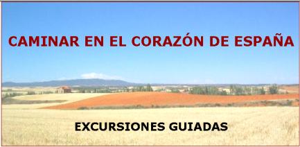 delcorazon.info