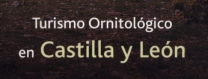 Folleto oficial
